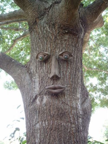 декор лица для деревьев - Teletap.org
