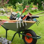Выбор садового инструмента: рекомендации по выбору и использованию