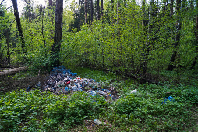 Пензенский губернатор назвал "недалекими" бросающих в лесу мусор людей
