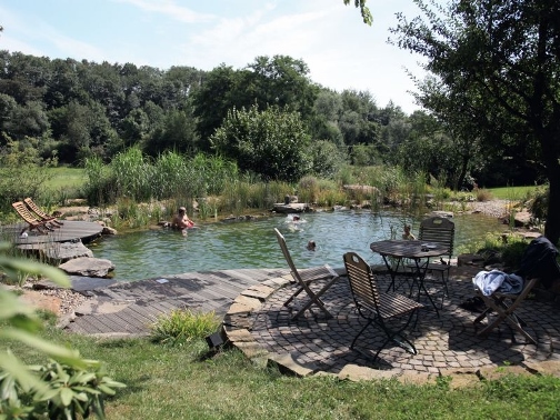 Плавательный пруд - экологический бассейн в саду