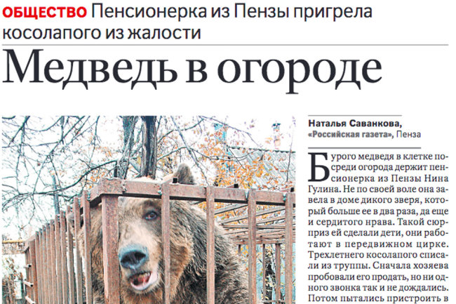 Минский зоопарк приютит брошенную в Пензе цирковую медведицу
