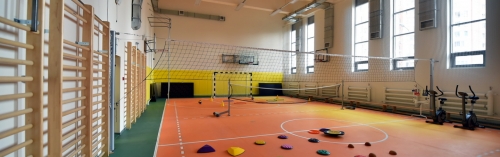 Инвесторам предложат построить спортивный объект в Новокосино