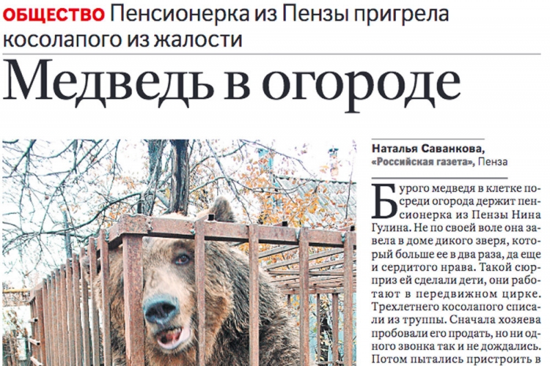 Минский зоопарк приютит брошенную в Пензе цирковую медведицу