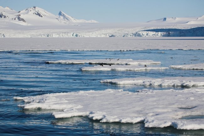 Сибирские ученые подтвердили существование мифической Арктиды