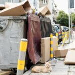 Скриншот-11-09-2025 11_45_43