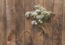 Гипсофила: что нужно знать